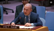 Vietnam ready to make practical contribution to Gaza peace: diplomat
